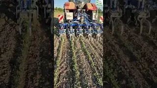 Autonomous Mechanical Weeding Robot For Row Crops || #ai #mechanical  #weeding