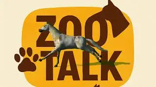 &Zeta;&omega;ό&rho;&alpha;&mu;&alpha; - ZooTalk &ndash; &Tau;&omicron; &Mu;&epsilon;&gamma;ά&lambda;&omicron; &Xi;&epsilon;&kappa;ί&nu;&eta;&mu;&alpha;! | &Eta; &Alpha;&pi;ό&lambda;&upsilon;&tau;&eta; &Epsilon;&kappa;&pi;&omicron;&mu;&pi;ή &gamma;&iota;&alpha; &Zeta;ώ&alpha; &Xi;&epsilon;&kappa;&iota;&nu;ά &Tau;ώ&rho;&alpha;! 🐾🌍