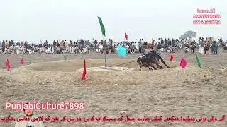 جلسہ 5 منٹ پابند ونڈلا جہانگیر 5 پوزیشن ملکیتی جوگ اعوان گروپ 84 پھیرے 6 جھنڈیاں 