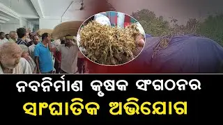 Naba Nirman Krushak Sangathan Warns Stir Over Irregularities In Paddy Procurement In Ulunda Block