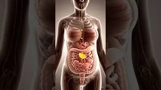 health benefits of pregnant women eating Oranges