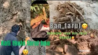 Ramailoh vayo ban tarul khannu guiyo🥰