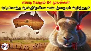 How 24 Rabbits Destroyed an Entire Continent | Minutes Mystery