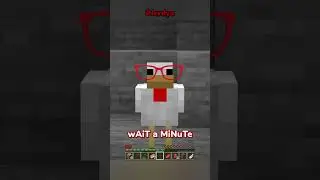 Minecraft, But I'm A Chicken