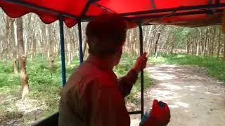 Exploring Ko Libong
