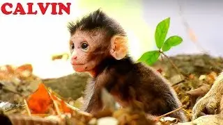 So Pity! Abandon Baby CALVIN Was Kinapped By Christin, Christin Kidnaps Baby