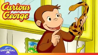 George Makes a Snake Friend | CURIOUS GEORGE