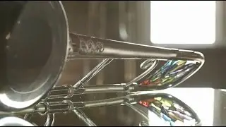 The 