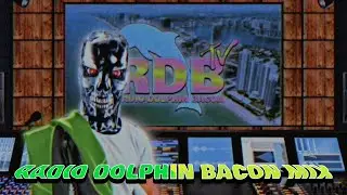 3.- Radio Dolphin Bacon Mix 📻🐬 (The Summer of the Dolphin)