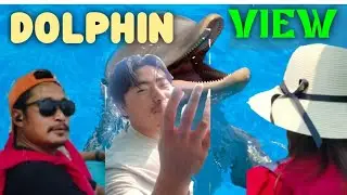 DOLPHIN 🐬 Island @Coco Beach ⛱️🏖️ Goa, India @capturingsoul
