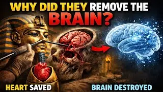 Why Ancient Egyptians Removed the Brain | Real History Explained