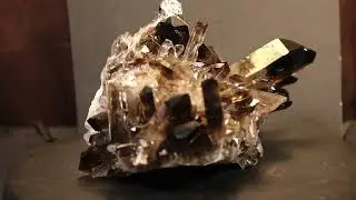 #Shorts - GemShorts - Smoky Quartz