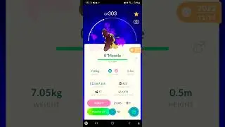 NUNDO Shadow Mawile! Pokemon Go! #pokemon #pokemongo #pok&eacute;mongo