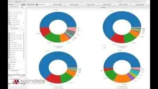Dashboard hecho con Visual Insight de MicroStrategy