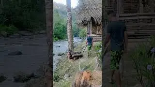 Chalet Dusun kuala Mu sungai siput Perak