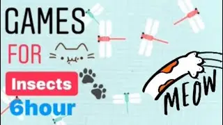 CAT GAMES - Catching Insects Entertainment Video for Cats & dogs to Watch cat asmr