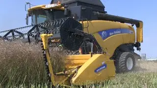 Mts Noordam ten Have, Koolzaad dorsen mer New Holland CX 8080