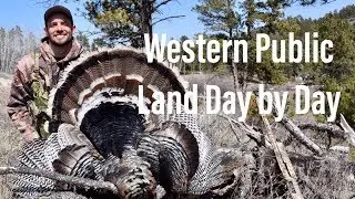 STARTING THE TRIP OFF RIGHT - Public Land Turkey Hunting (Day 1)