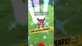 Rare Shiny Rattata appears 😄! Rattata Evolution! 😊 Pok&eacute;mon Go. #pokemongo