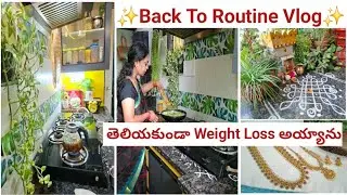 My Morning Routine ఉదయాన్నే అన్ని పనులు ఇలా గొంతుకు హాయిగా simple lunchbox Recipe  #teluguvlogs #yt 