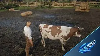 CS RANCH - The Ultimate Ranch Script for RedM