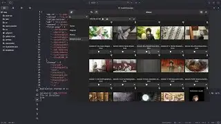 Setting a Plex server on Linux (for trying Girens GTK4 port!)