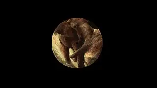 Somesan - Intrinsic Soar