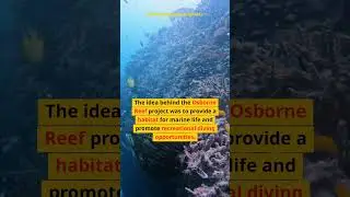 Osborne Reef: The Tire Experiment That Backfired #facts #factoftheday #didyouknow #funfacts #ocean