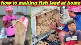 Machhali ke liye homemade fish feed kaise banaya jata hai | how to making fish feed #fishinfo
