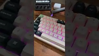 Typing on the Keychron Q6 HE feels unreal &mdash; a full-size mechanical keyboard with hot-swappable Hall