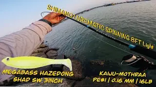 Red snapper fishing with my new SHIMANO LUREMATIC LIGHT ROD #tackletips