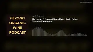 The Lost Art & Science of Natural Wine - Daniel Callan, Slamdance Ko&ouml;peratieve