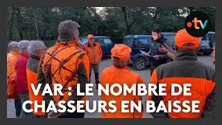 Ouverture de la chasse :  si le gibier est bien l&agrave;, le nombre de pratiquants est lui en baisse