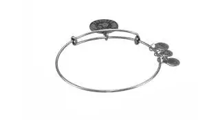 Alex and Ani Los Angeles Charm Bangle SKU:8390925