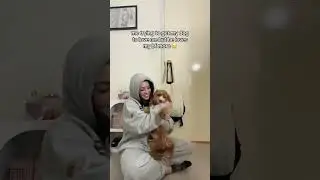 based on true facts 😭🥲 coco has a new fav owner 😩 #pov #dog