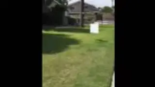 old