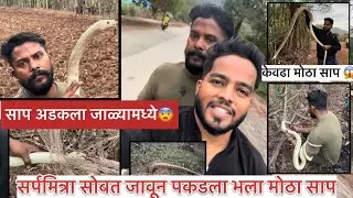 जाळ्या मध्ये अडकला भला मोठा साप🐍😱Full size Rat Snake |