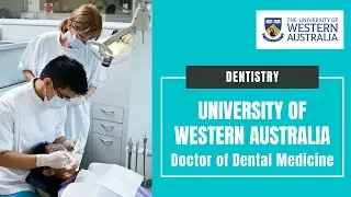 Dental School: Studying Dentistry at the University of Western Australia