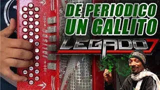 De periodico un gallito acordeon