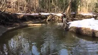 Late Spring Steelhead Fishing - Pennsylvania