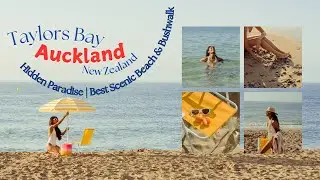 Taylors Bay Auckland &ndash; New Zealand Hidden Paradise| Best Scenic Beach & Bushwalk #beach   #auckland