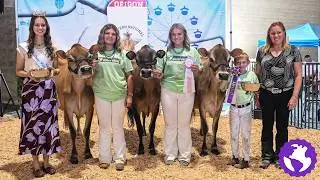 Western Fall National Jersey Show 2025
