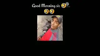 Good Morning sir 🤣🤣Funny Meme.#Funny memes.#Shorts.