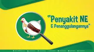 AgriStreamTV - MIMBAR The Series 18: Penanggulangan Penyakit NE (Necrotic Enteritis) pada Ayam (1)