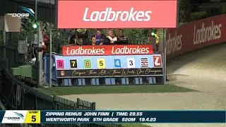 Zipping Remus Wins At Wenty