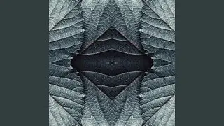 Of the Spaces in Between