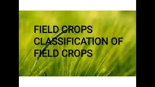 crops || field crops || classification of field crops # Agribasic