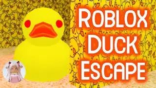 Roblox Duck Escape | Where to find all the Ducks | Full Gameplay Walkthrough No Death [4K]