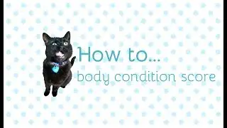 How to body condition score