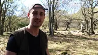 Truffle Hunting in Rome